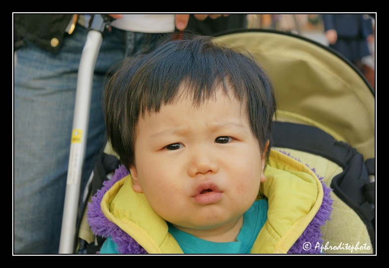 006 Japan portraits